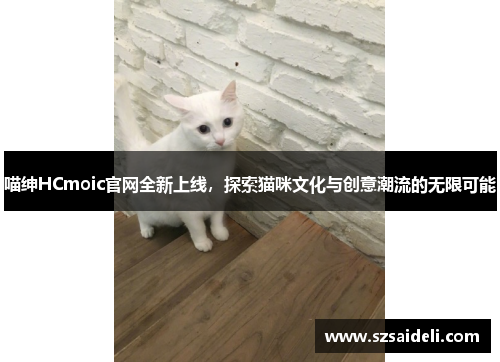 喵绅HCmoic官网全新上线，探索猫咪文化与创意潮流的无限可能